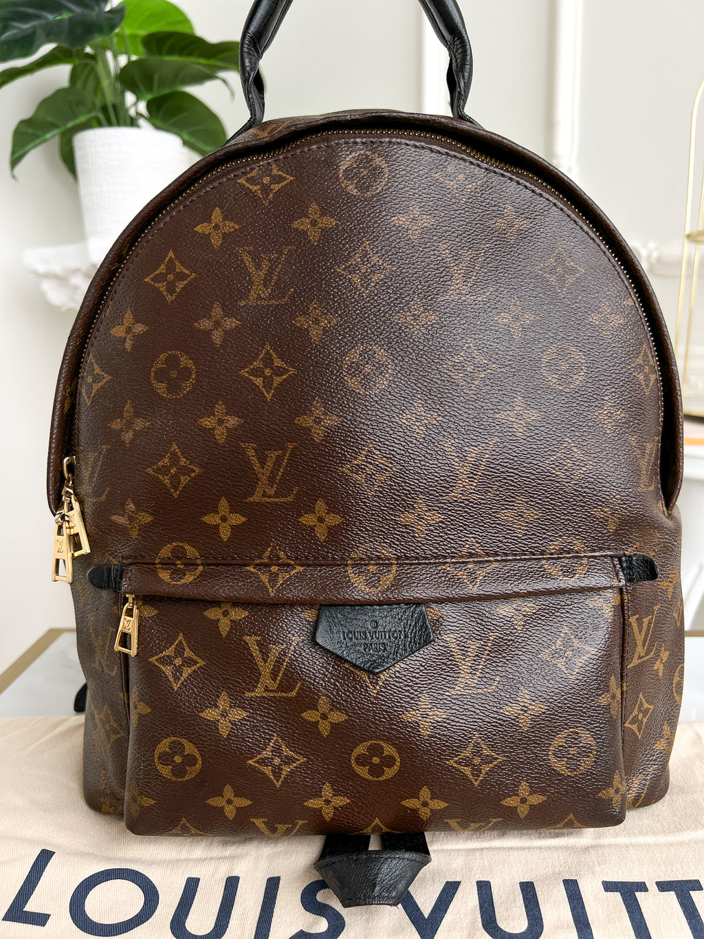 Authentic LV backpack Palm Springs  MM monogram