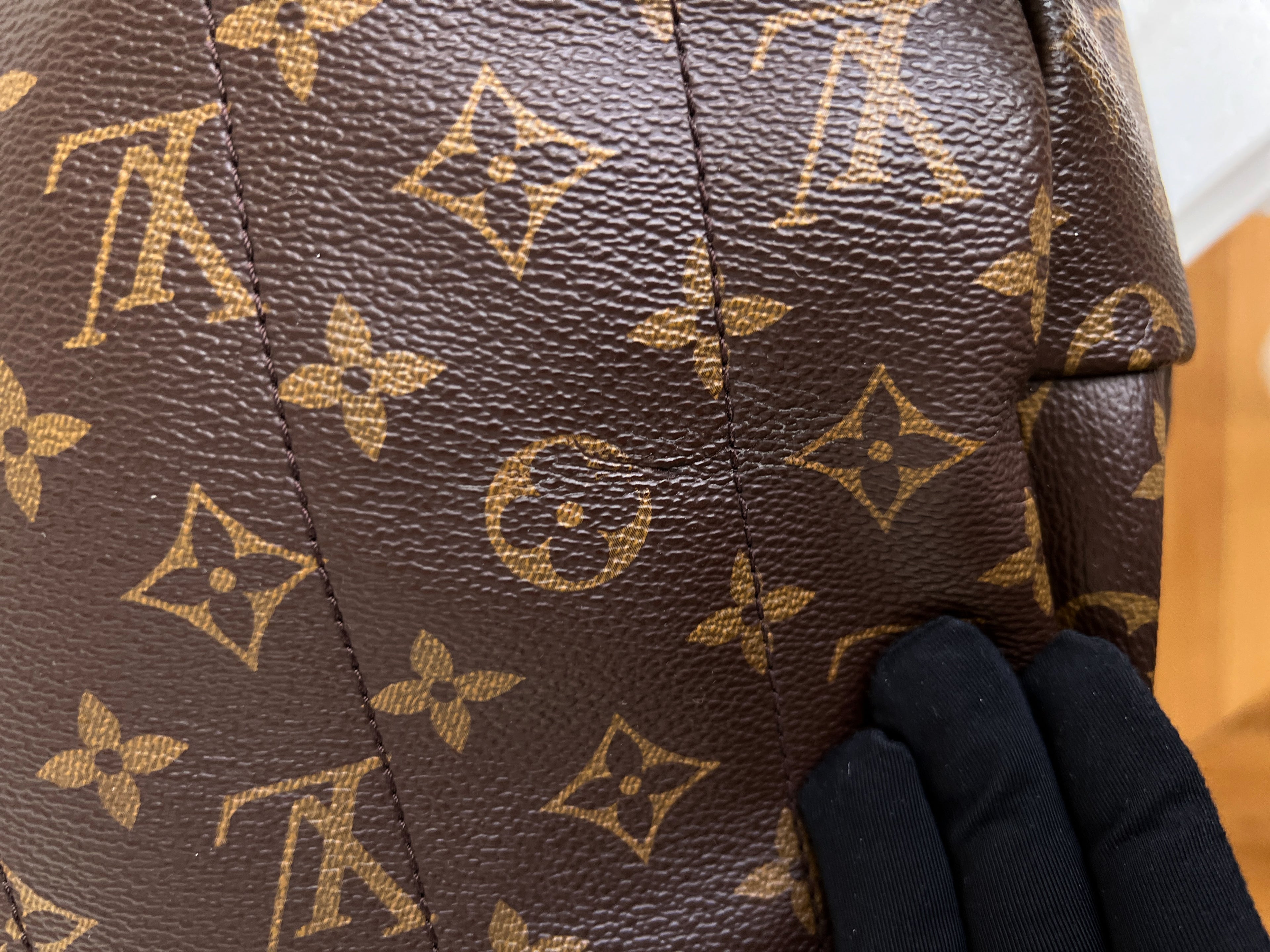 Louis Vuitton Backpack Palm Springs MM Monogram