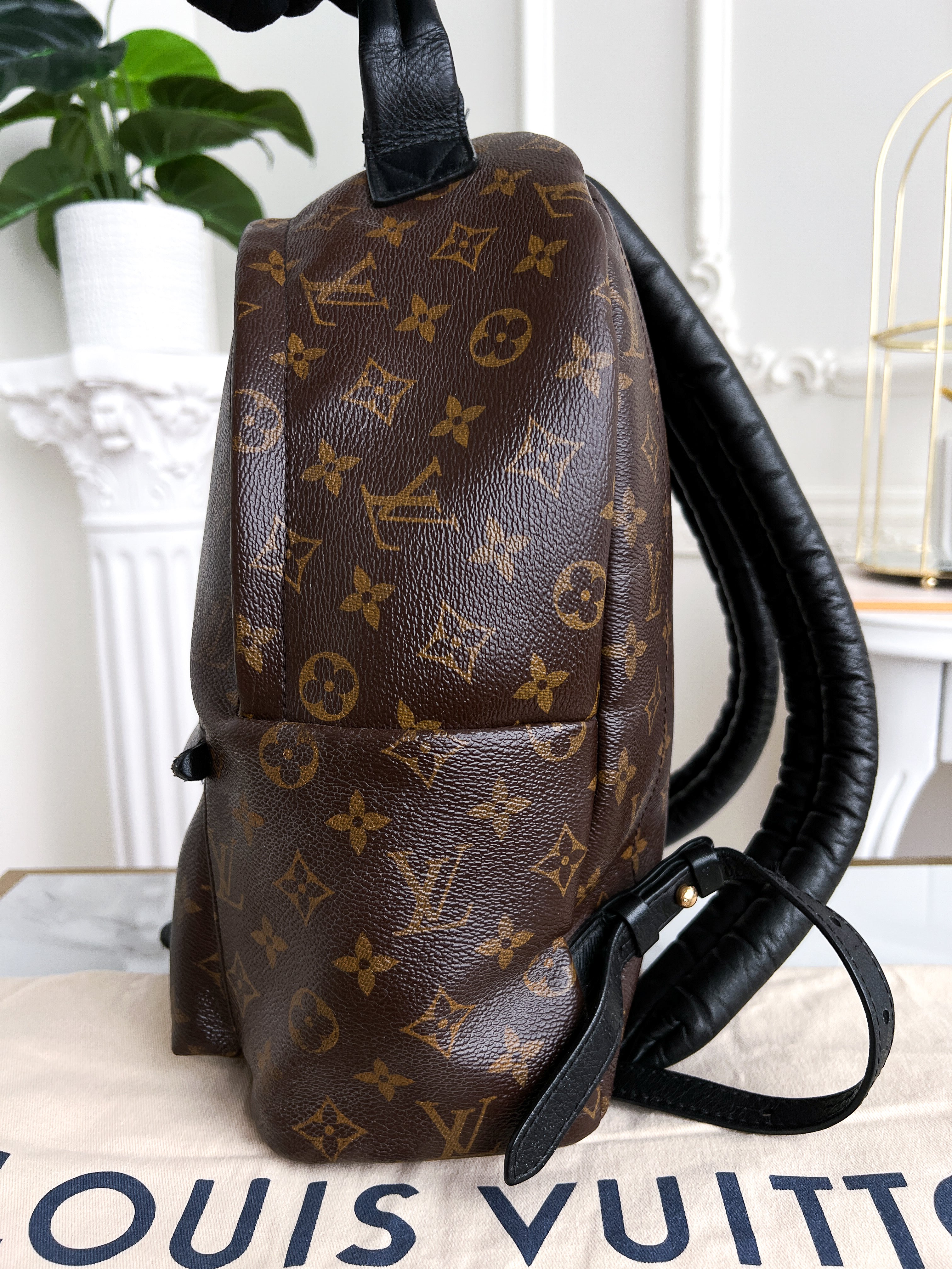 Authentic LV backpack Palm Springs  MM monogram