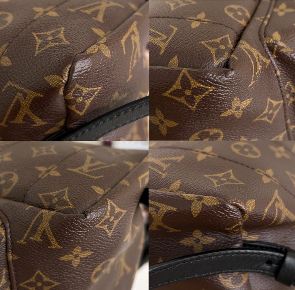 Louis Vuitton Backpack Palm Springs MM Monogram