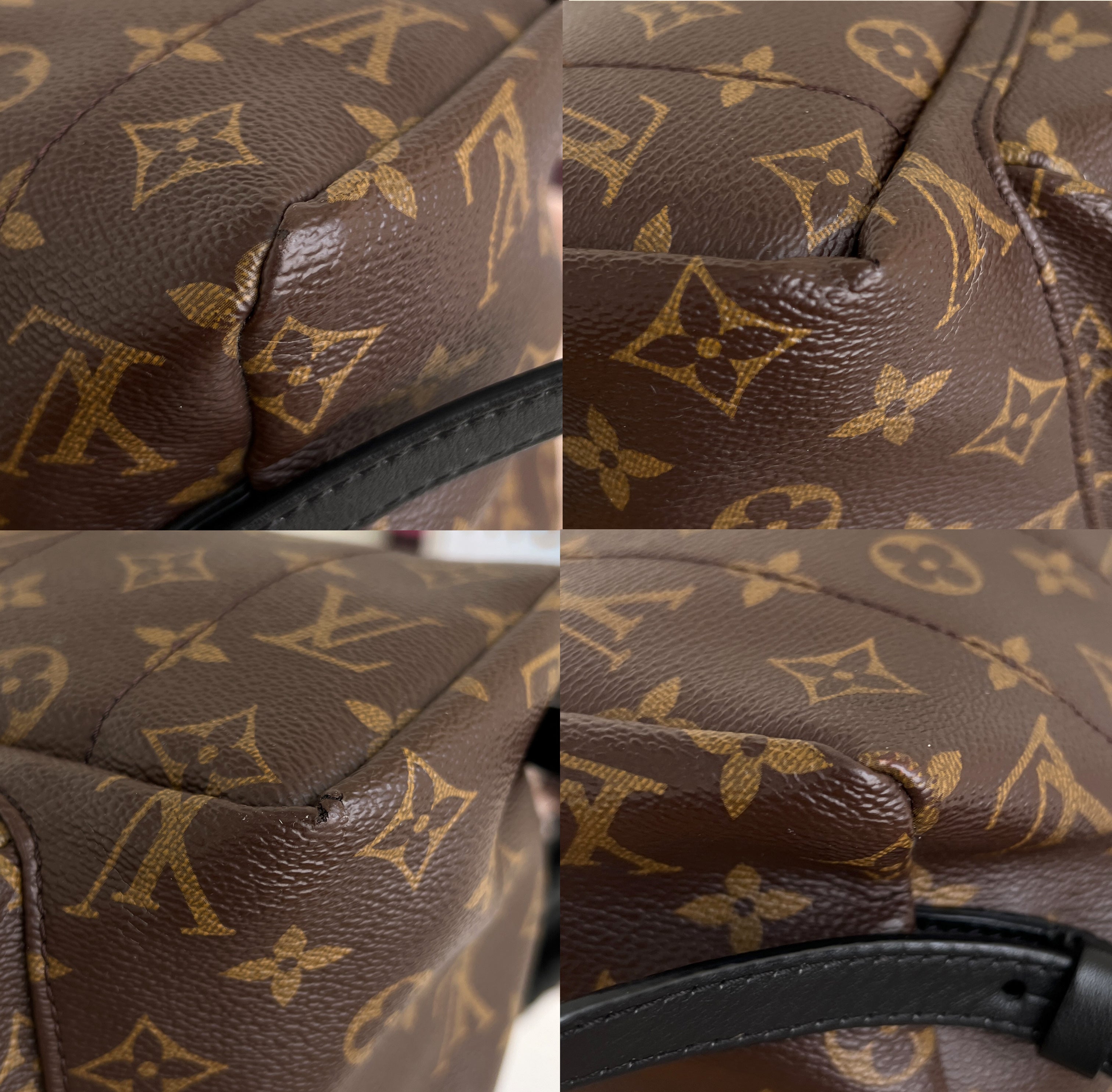 Louis Vuitton Backpack Palm Springs MM Monogram