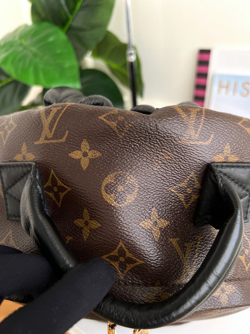 Louis Vuitton Backpack Palm Springs MM Monogram