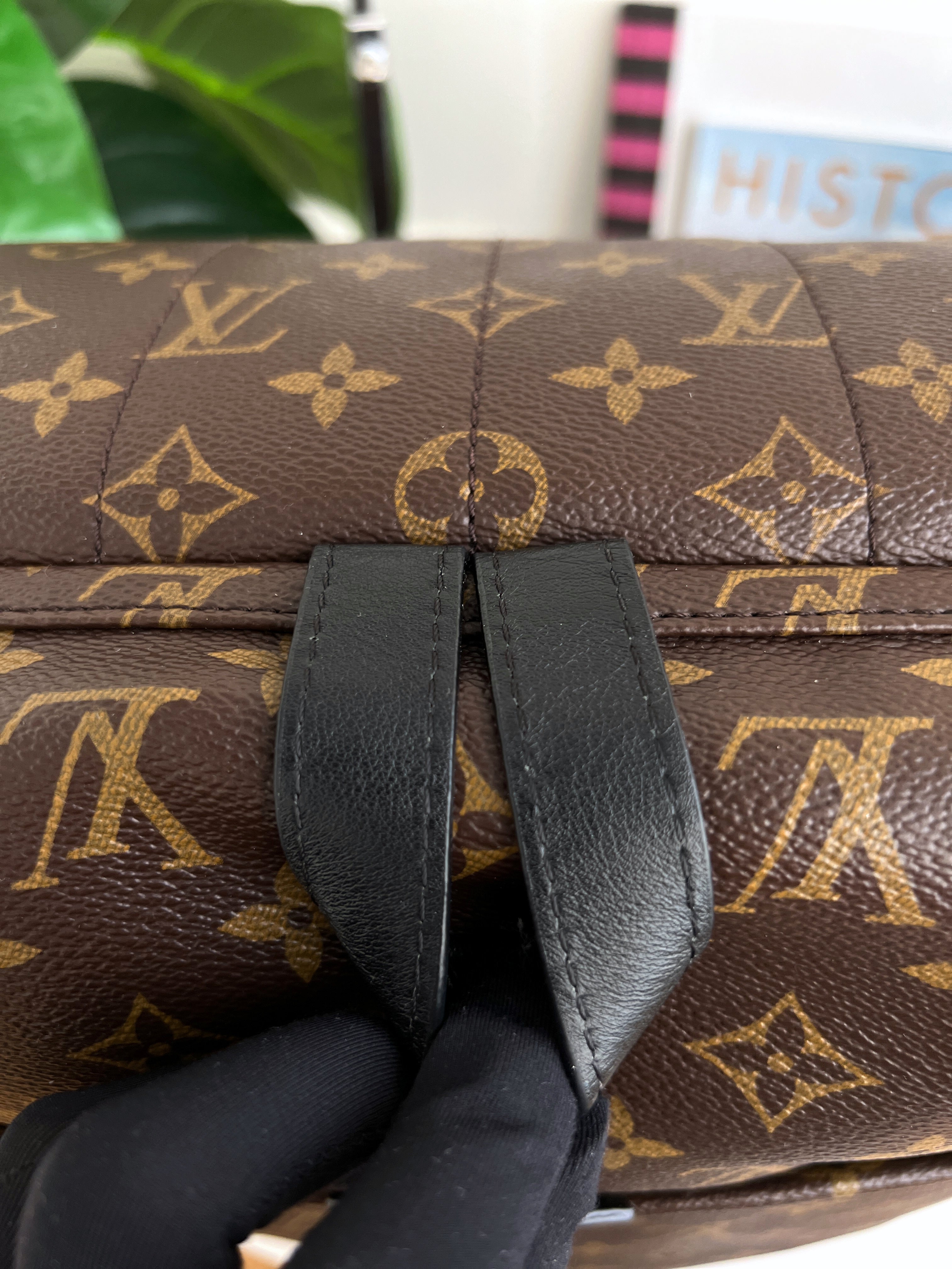 Louis Vuitton Backpack Palm Springs MM Monogram