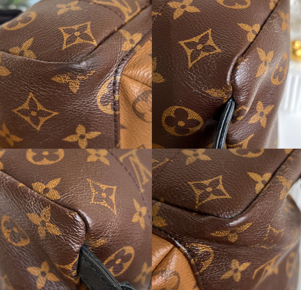 Louis Vuitton Backpack Palm Springs Monogram PM