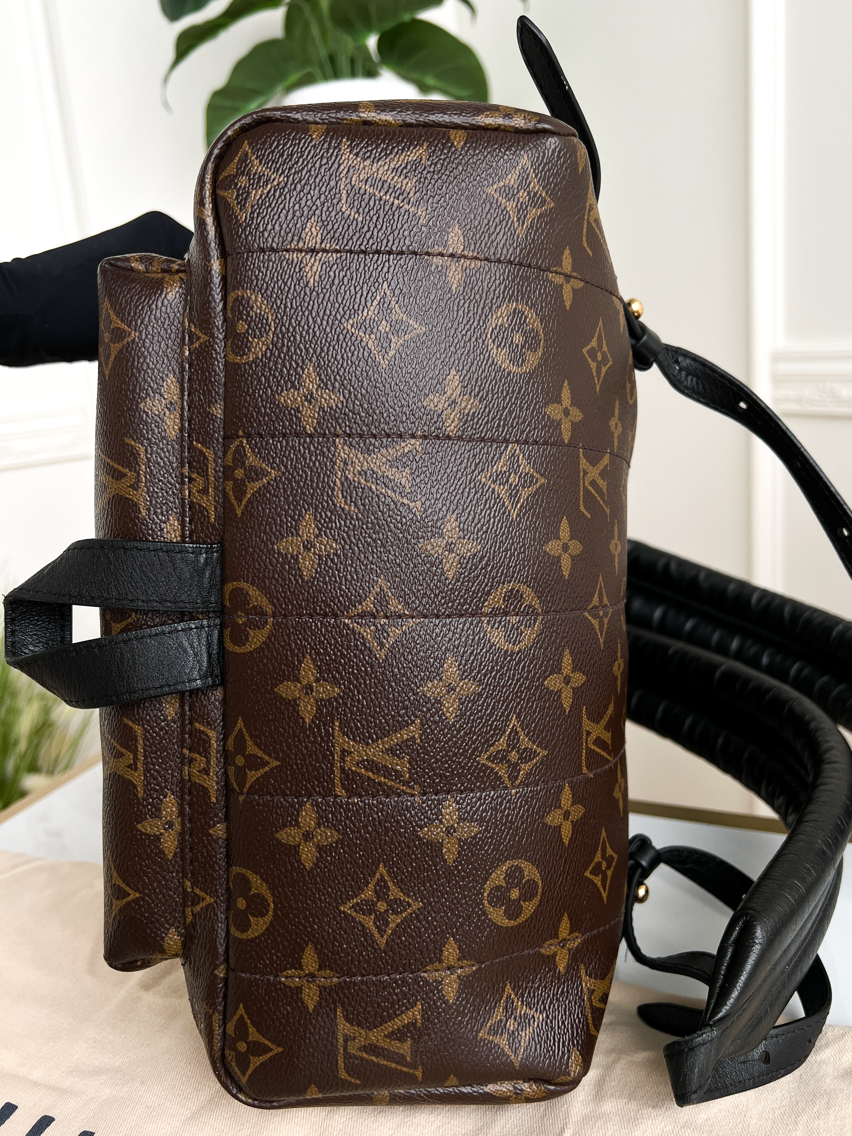 Authentic LV backpack Palm Springs  MM monogram