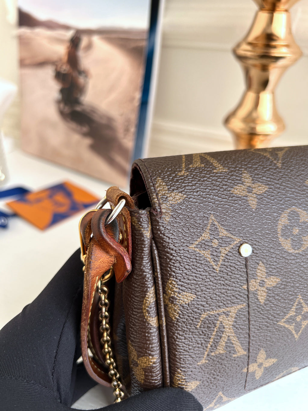 Louis Vuitton Favorite PM Monogram Crossbody Clutch Bag