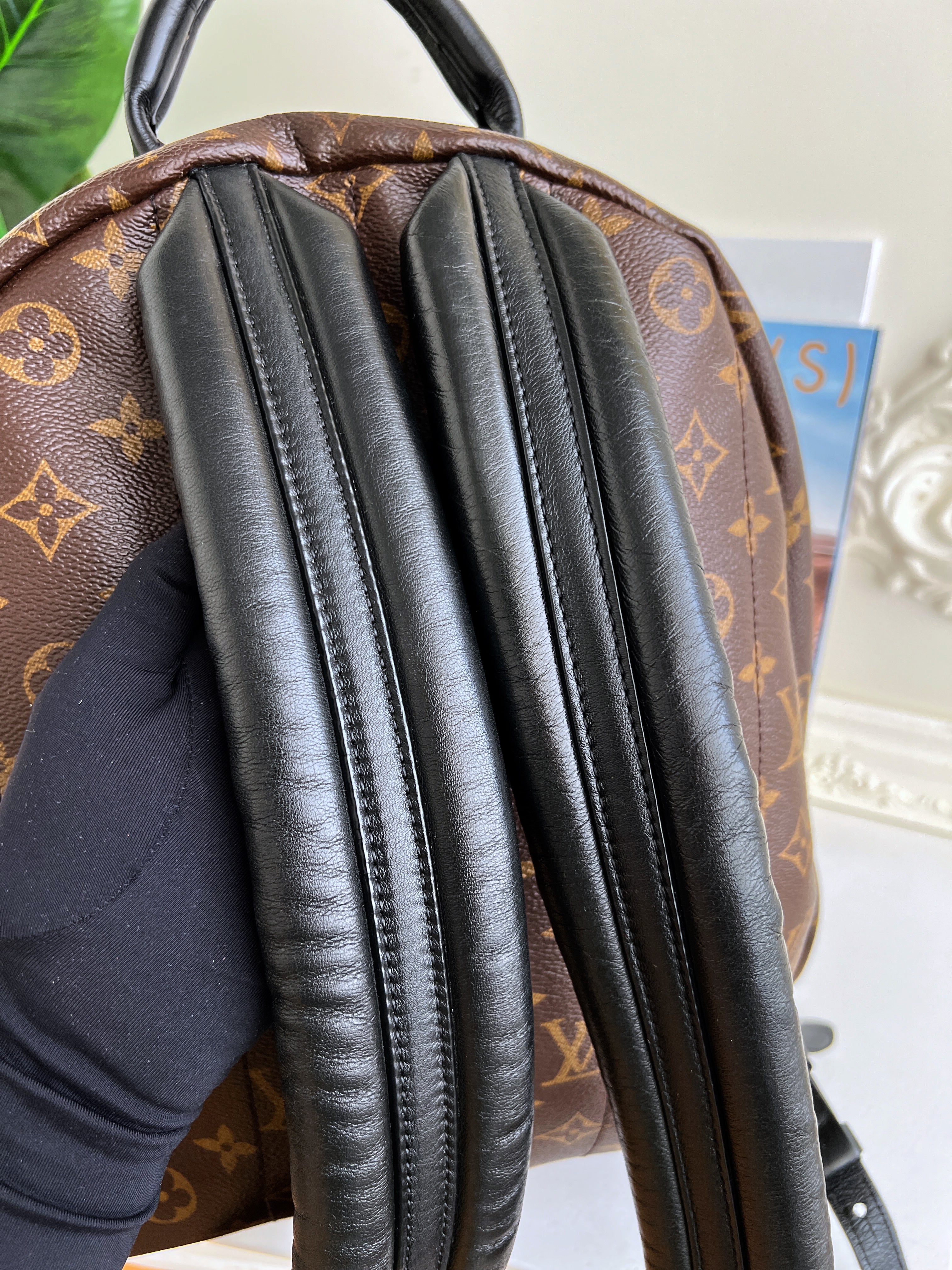 Louis Vuitton Backpack Palm Springs MM Monogram