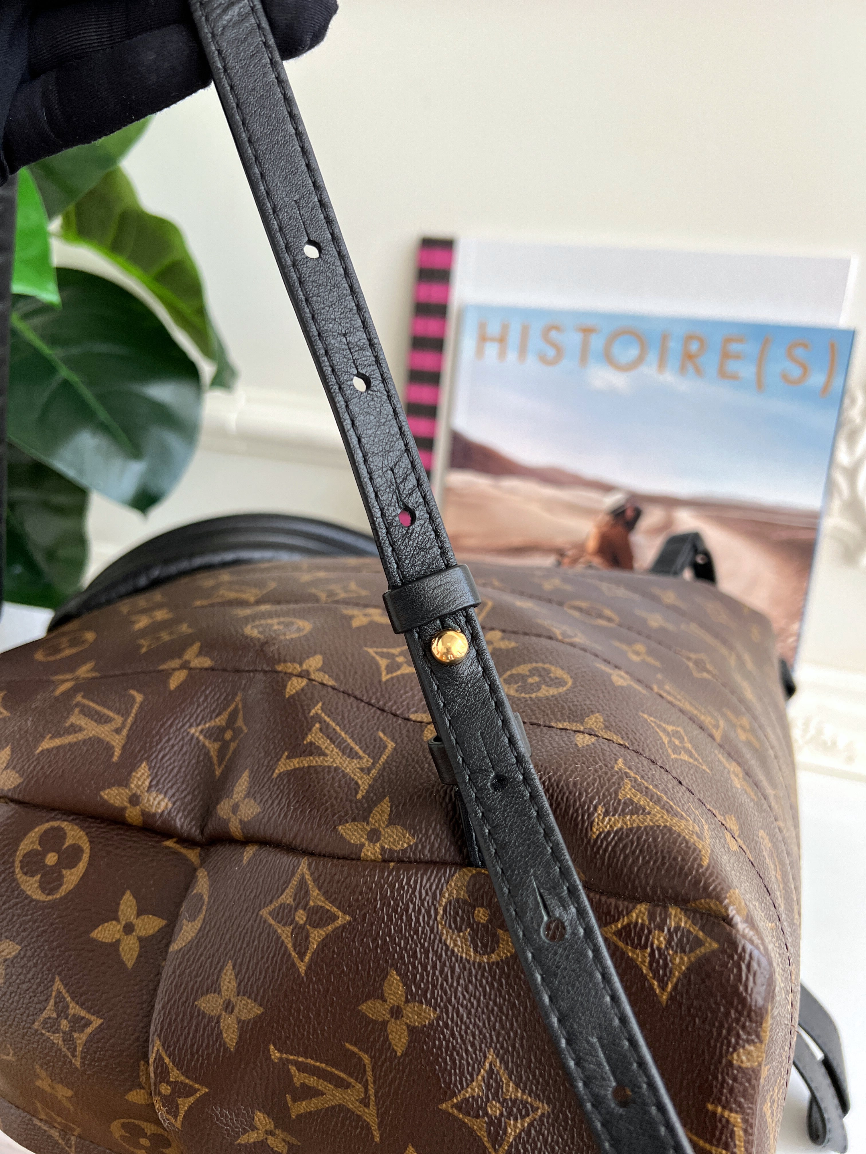 Louis Vuitton Backpack Palm Springs MM Monogram