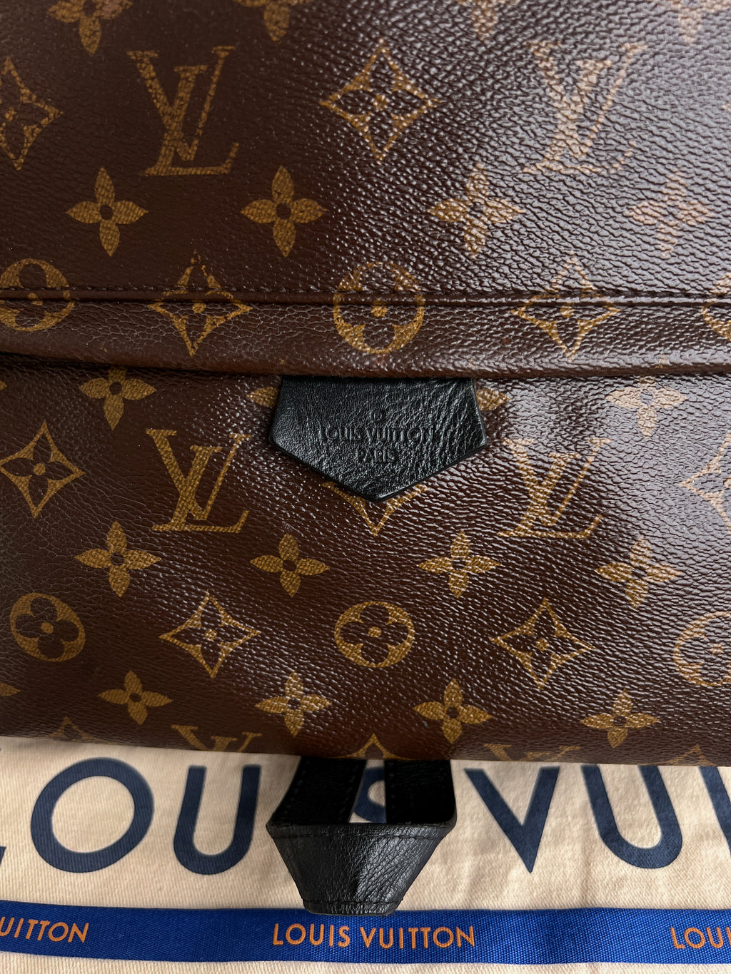 Authentic LV backpack Palm Springs  MM monogram