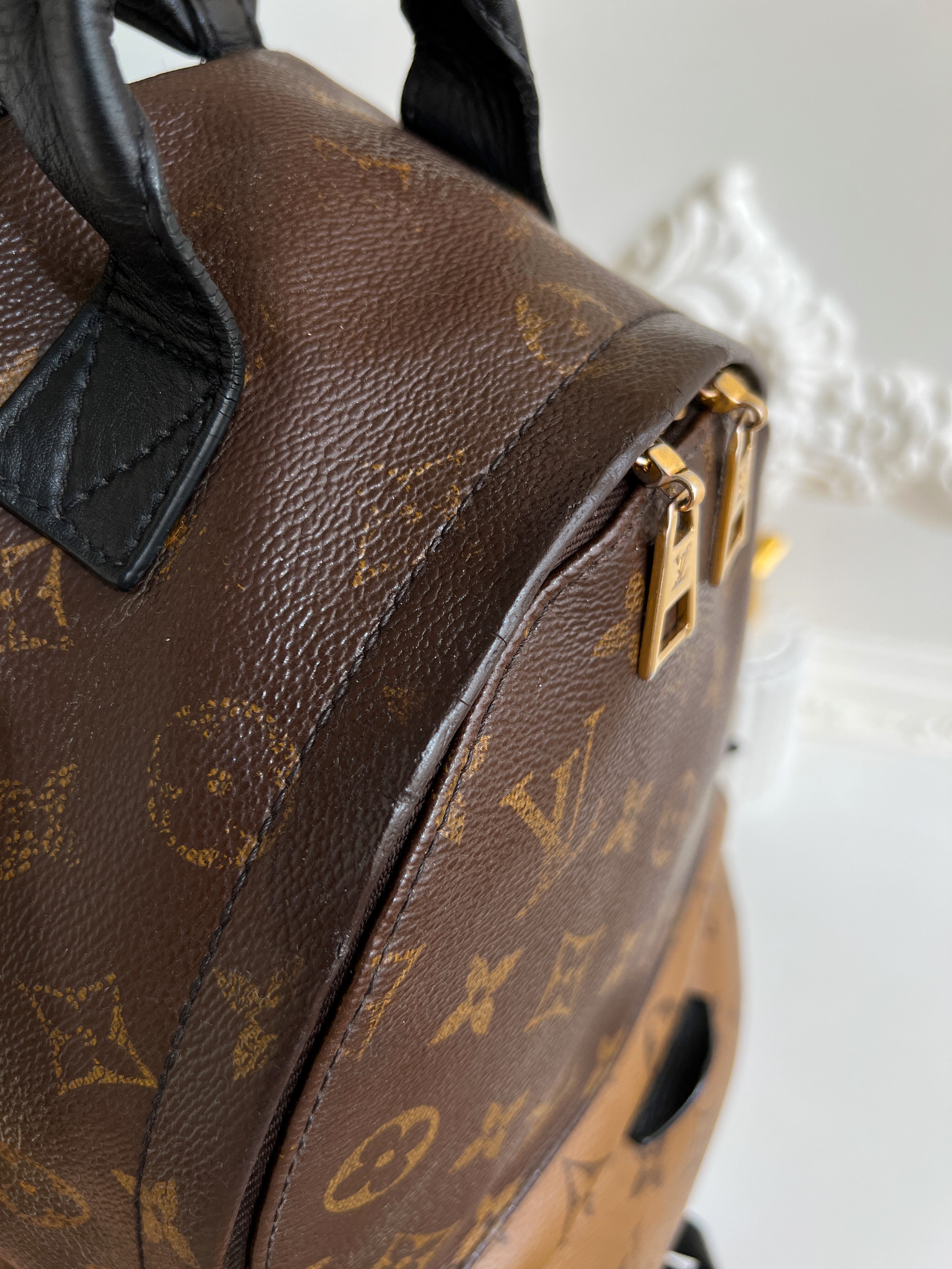 Louis Vuitton Backpack Palm Springs Monogram PM