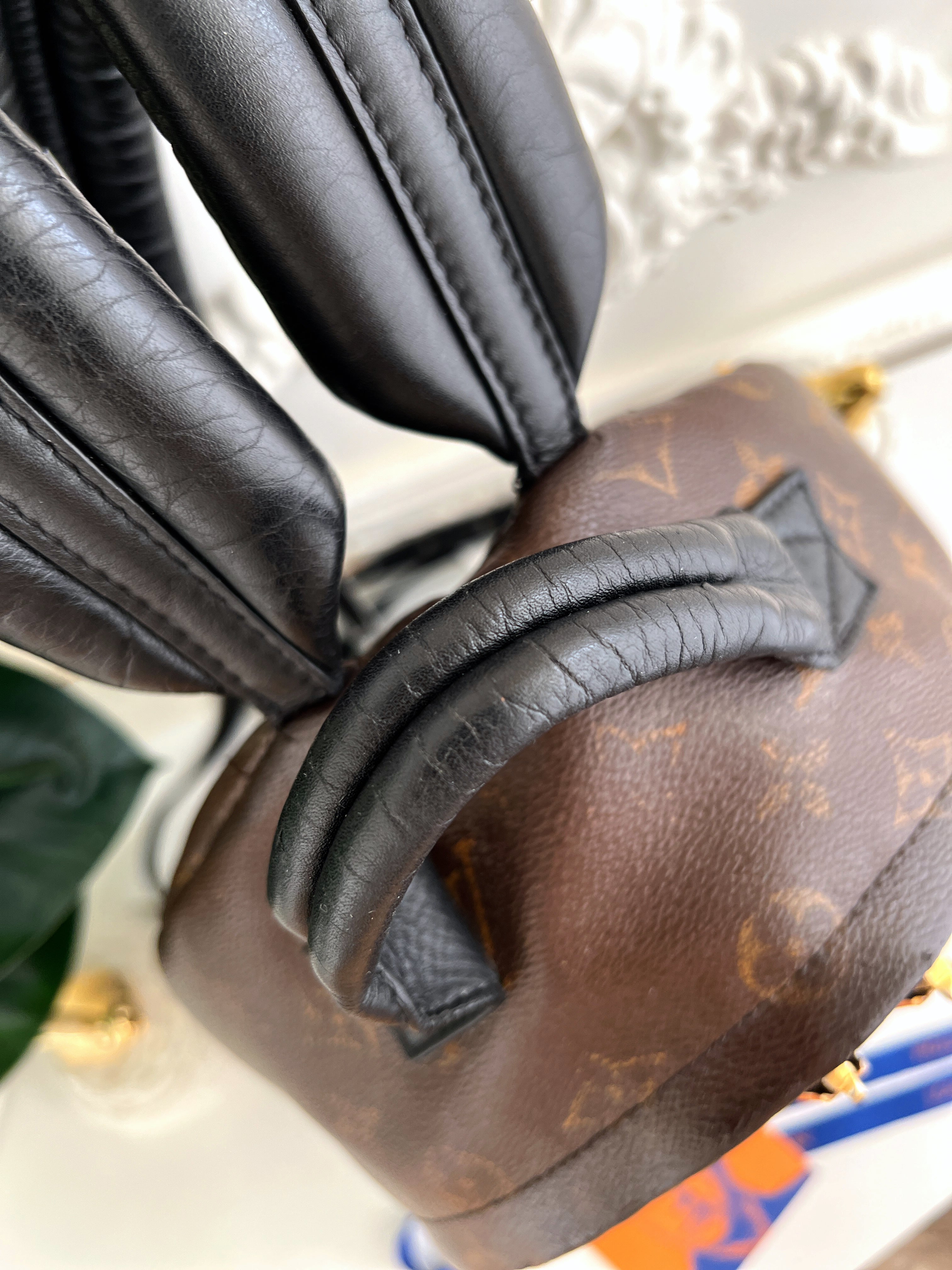 Louis Vuitton Backpack Palm Springs Monogram PM