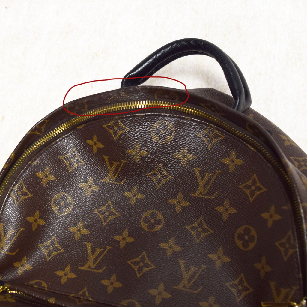 Louis Vuitton Backpack Palm Springs MM Monogram
