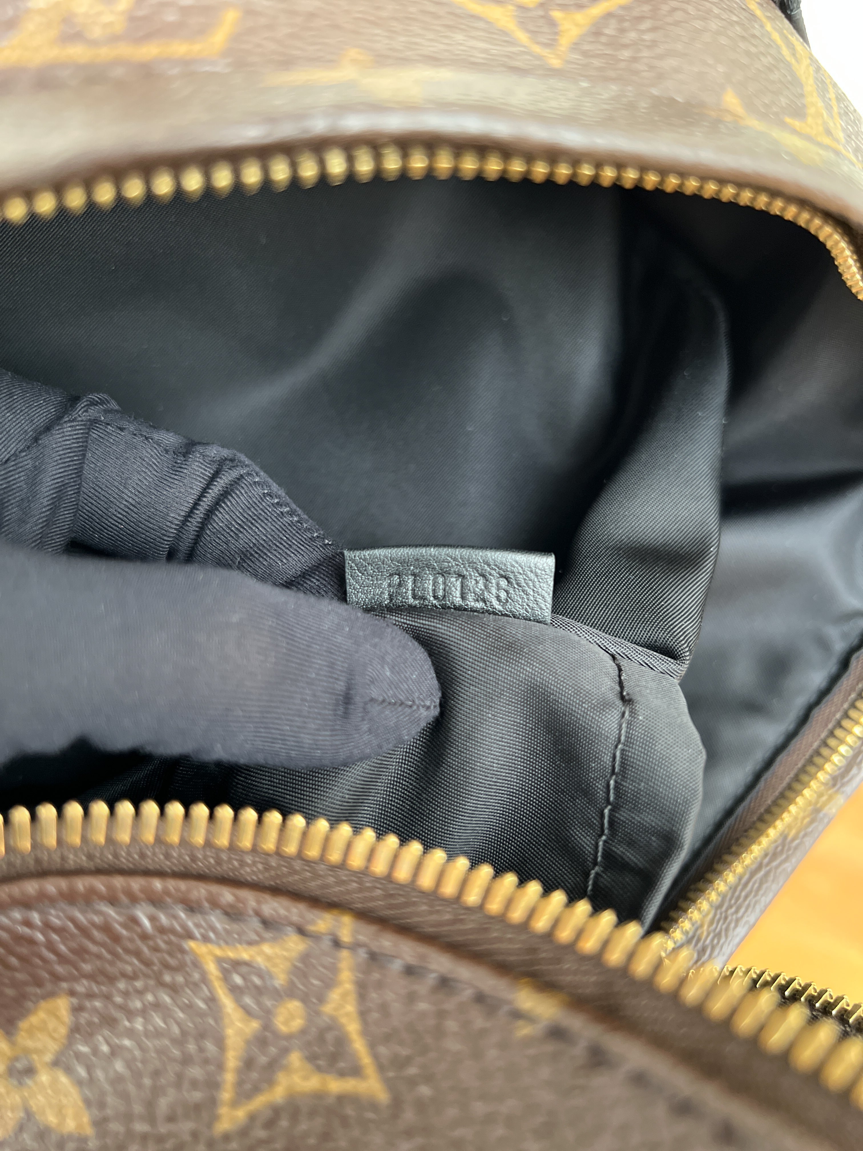 Louis Vuitton Backpack Palm Springs MM Monogram