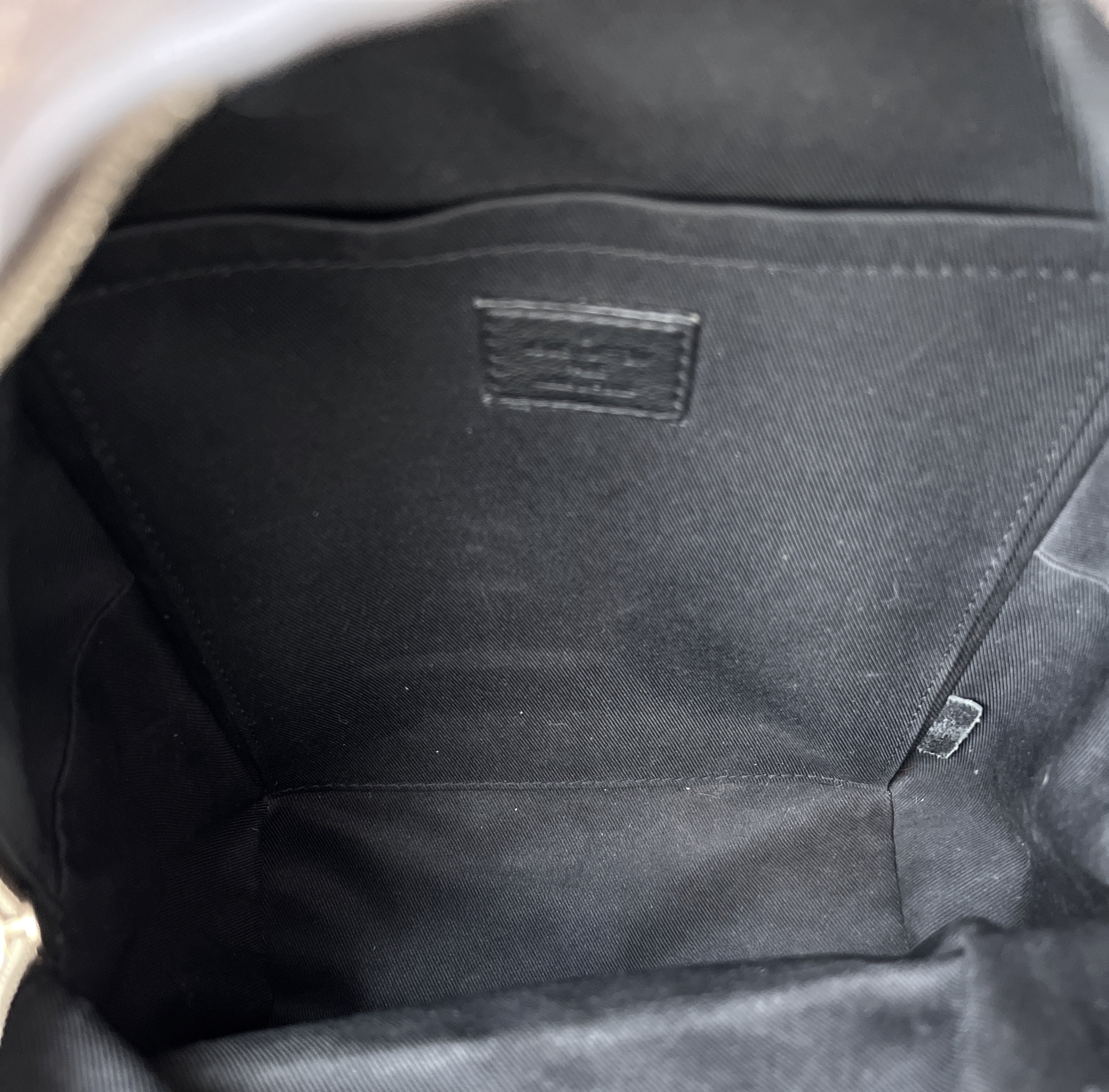 Louis Vuitton Backpack Palm Springs Monogram PM