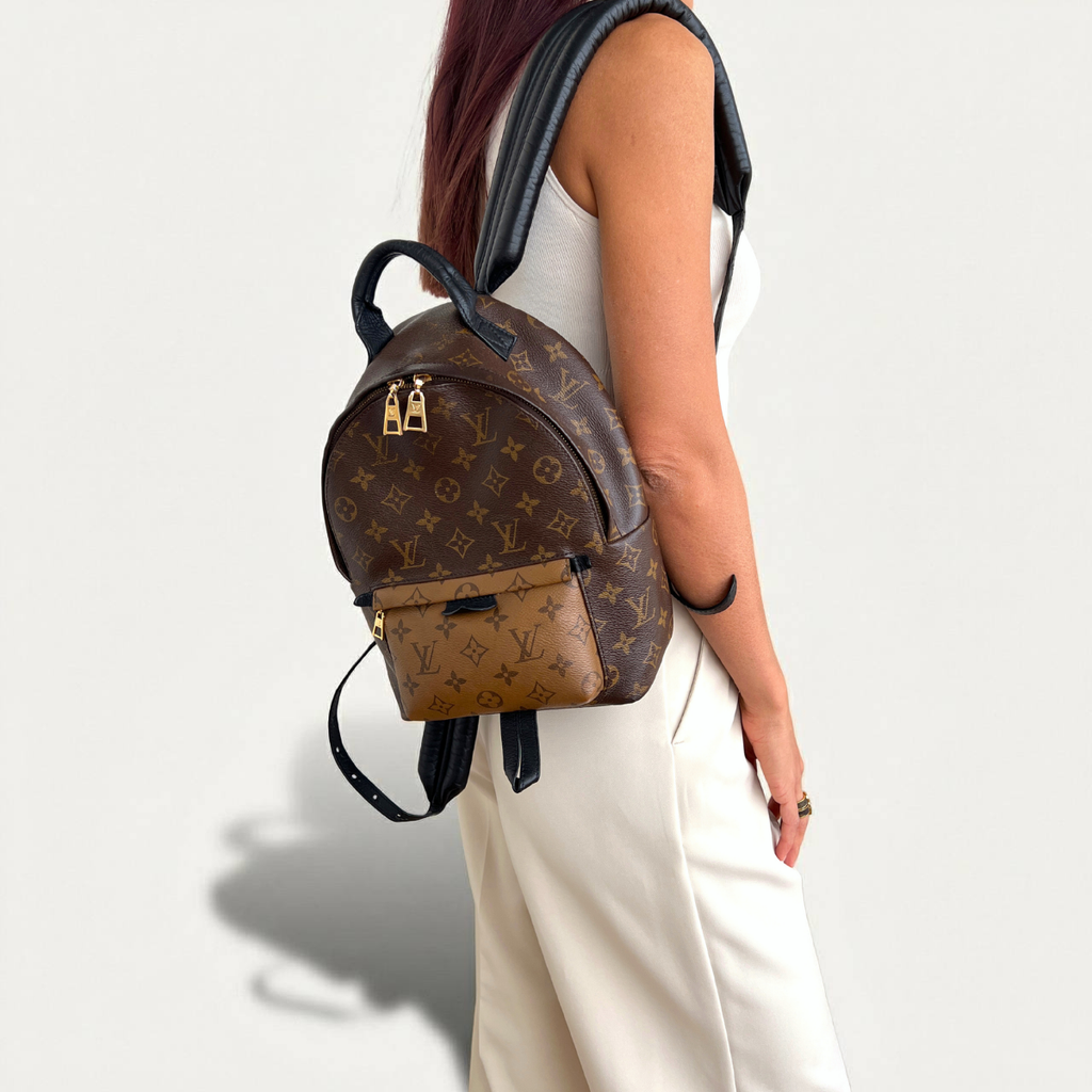 Louis Vuitton Backpack Palm Springs Monogram PM