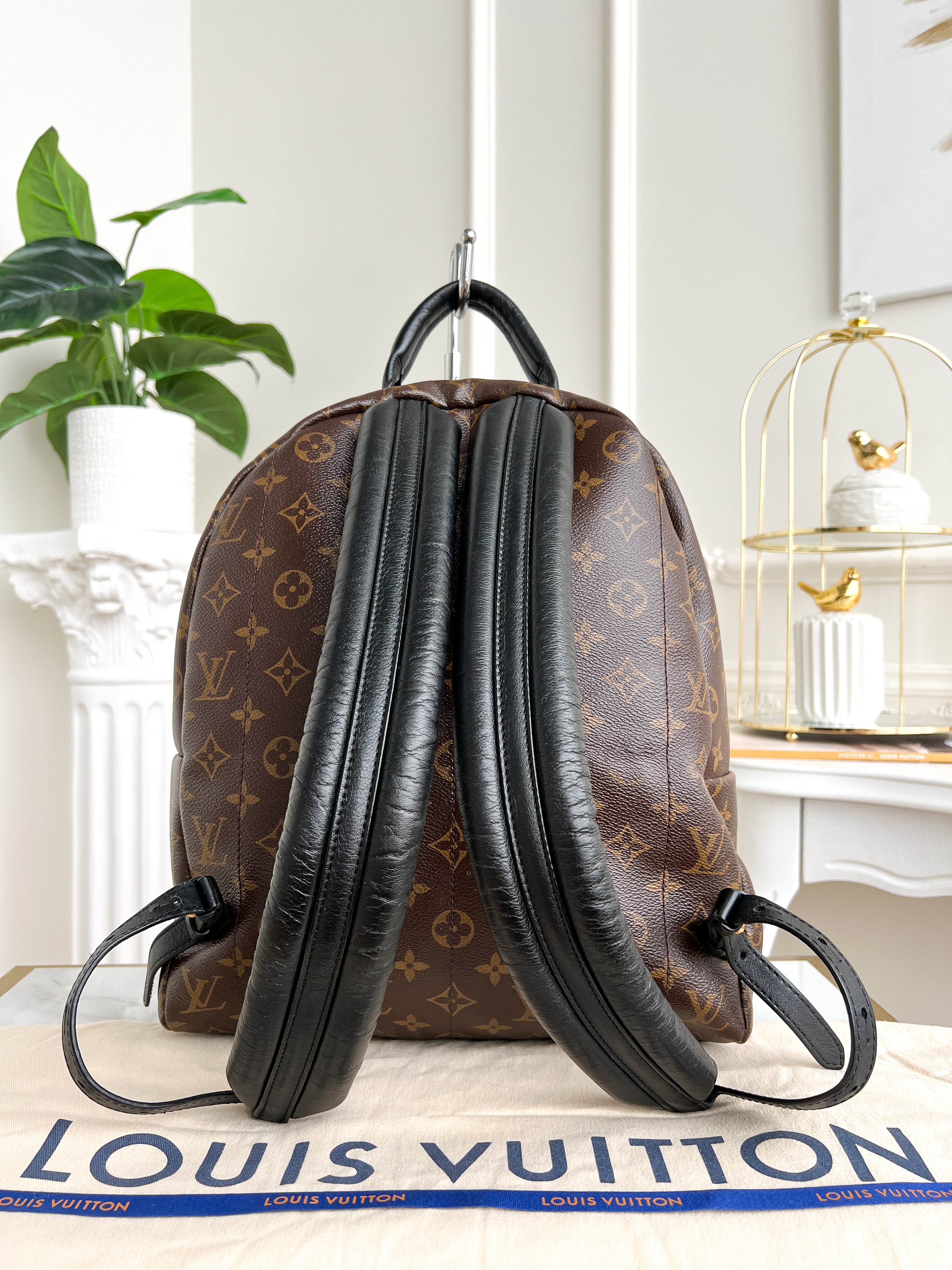 Authentic LV backpack Palm Springs  MM monogram
