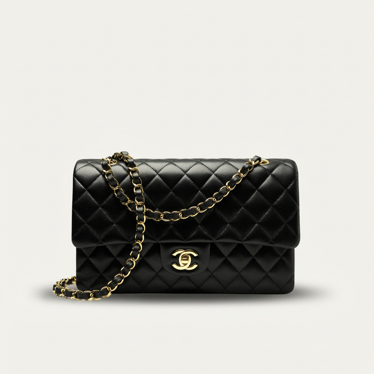 Chanel Small 25 Flap Bag