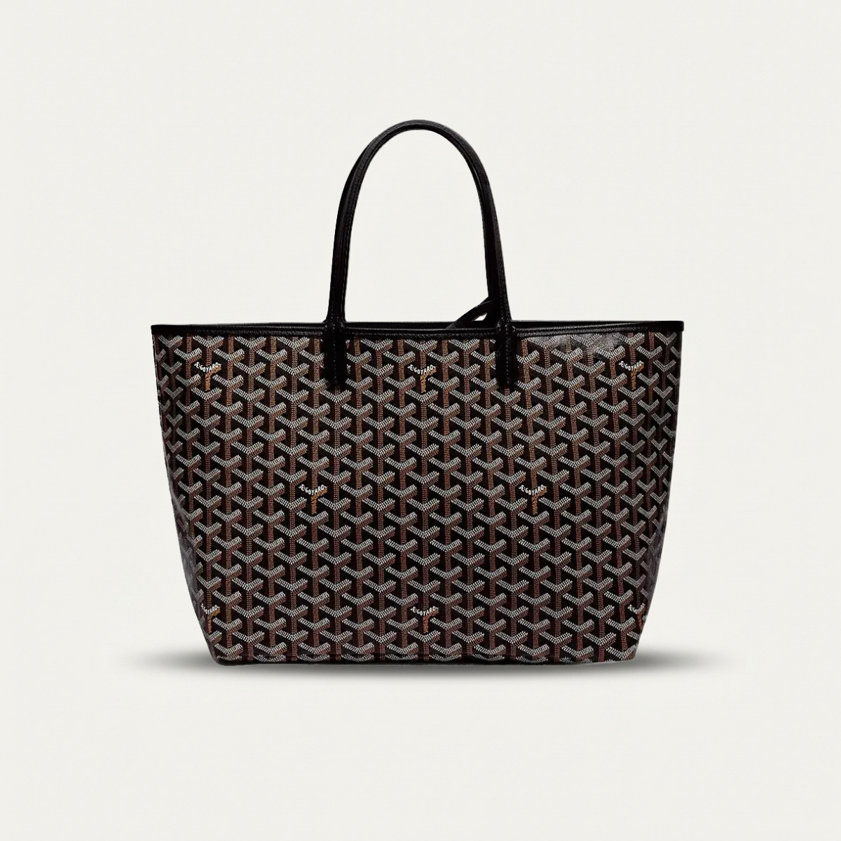 Гойар Сент-Луис